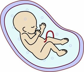 孕期妊娠合并新生儿线粒体DNA耗竭综合征怎么对症 孕期妊娠合并新生儿线粒体DNA耗竭综合征怎么对症